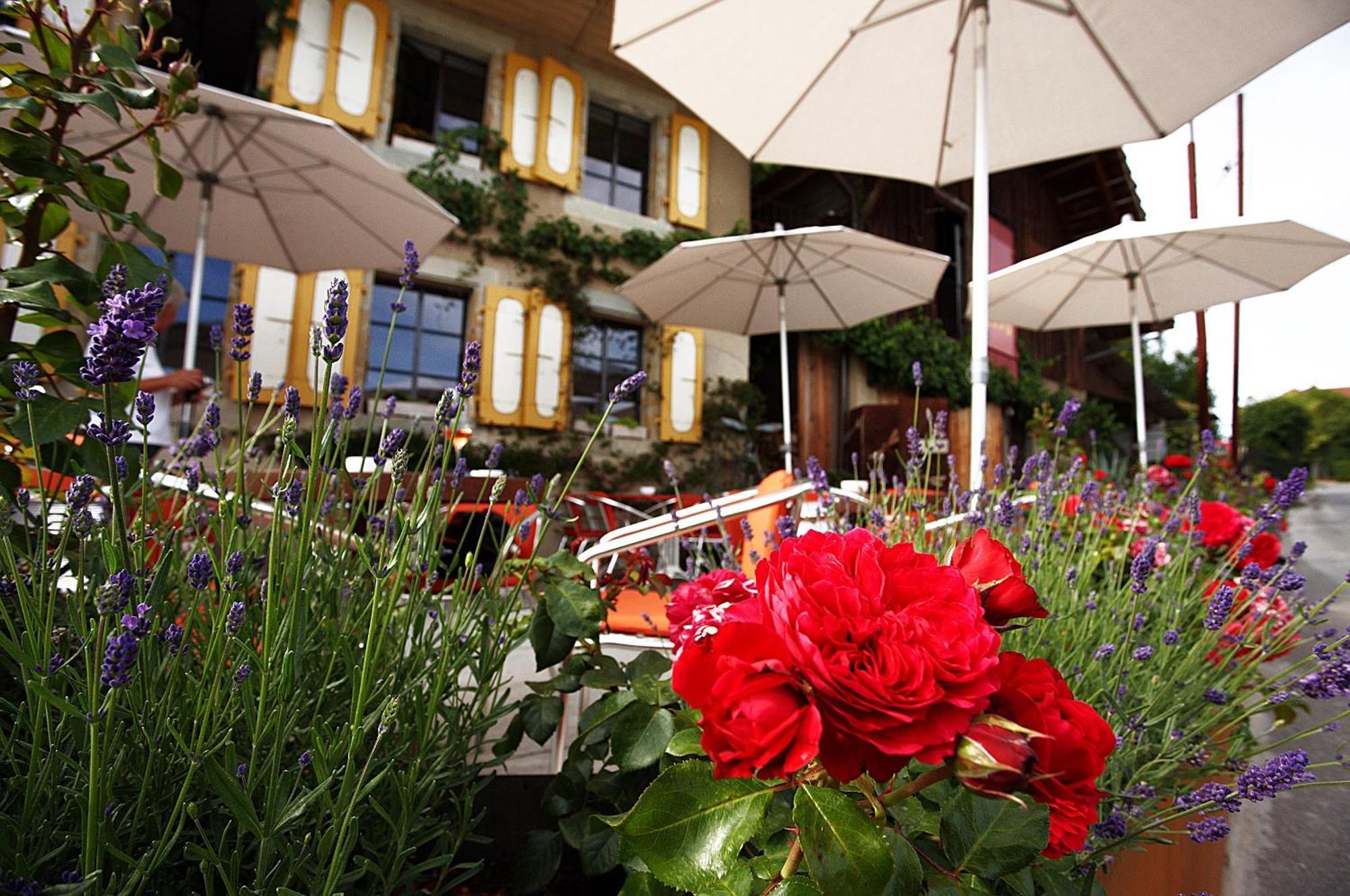 Bnb Belle5 Vully-les-Lacs Exterior photo